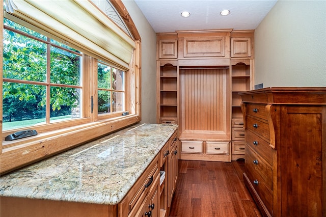 walk in closet featuring dark hardwood / wood-style flooring