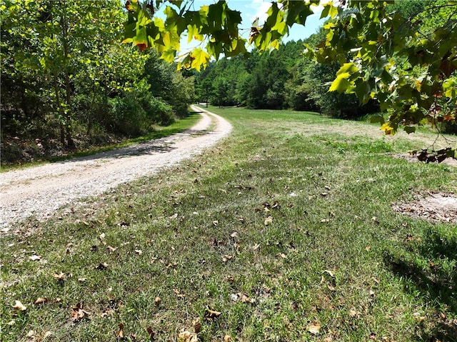 view of road