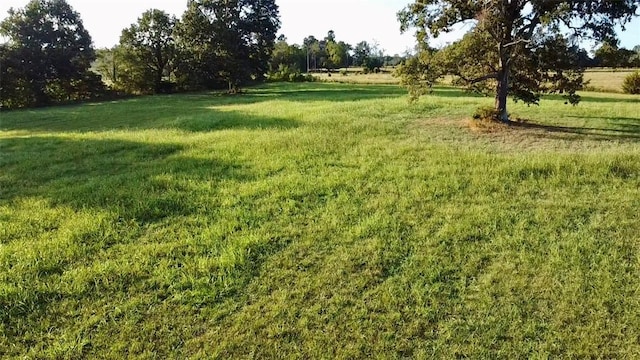 9.93AC Fred Walker Rd, Harrison, AR 72601 - photo 3