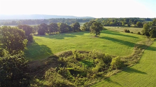 9.93AC Fred Walker Rd, Harrison, AR 72601 - photo 4