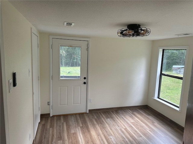 entryway featuring a textured ceiling, light hardwood / wood-style flooring, and a wealth of natural light