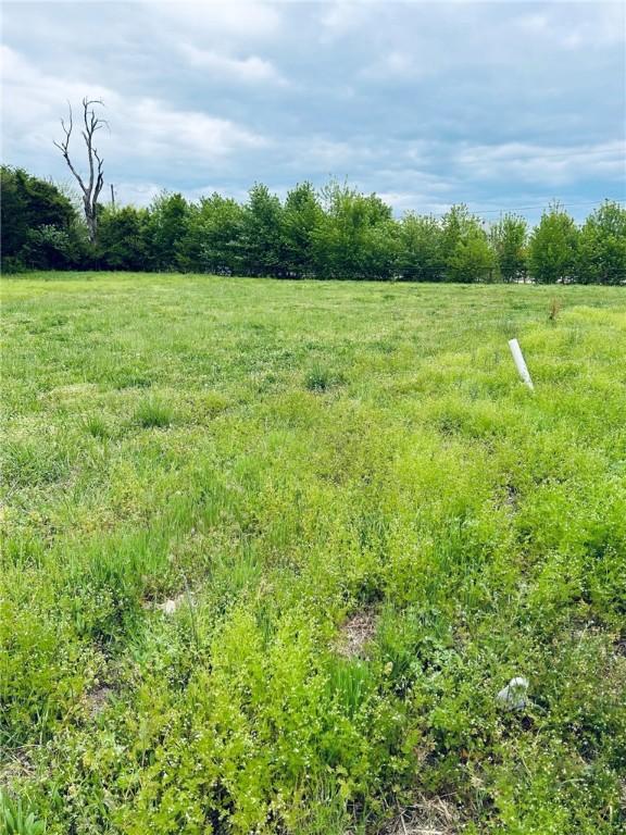 998 W Centerton Blvd, Centerton, AR 72719 - photo 2