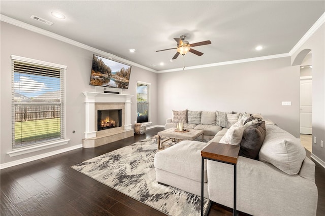 living room with ceiling fan, dark hardwood / wood-style floors, ornamental molding, and a wealth of natural light