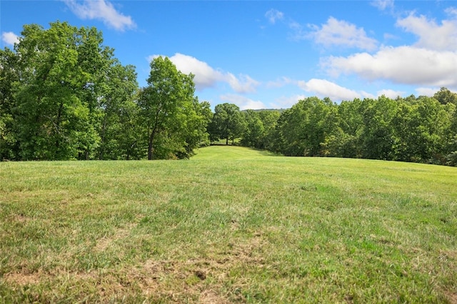 view of local wilderness