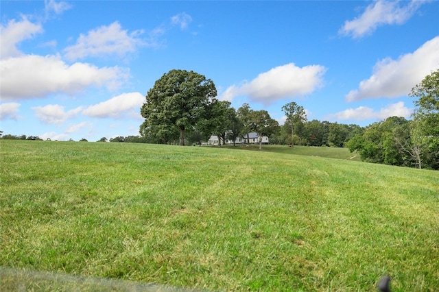 view of yard featuring a rural view