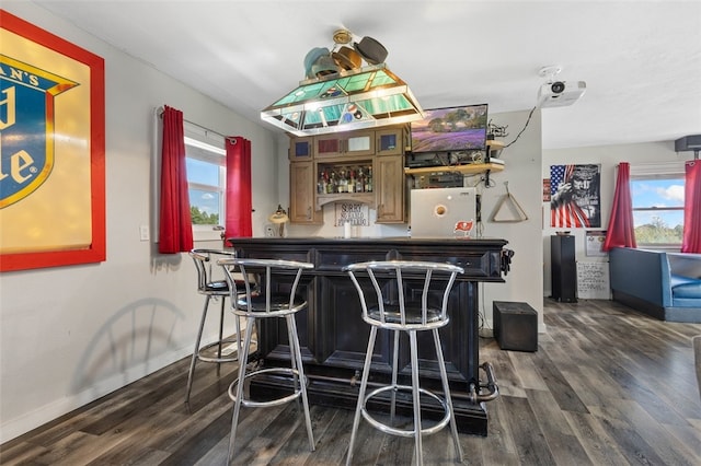 bar with dark hardwood / wood-style flooring