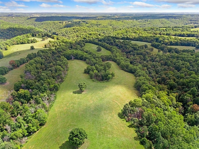 drone / aerial view featuring a rural view