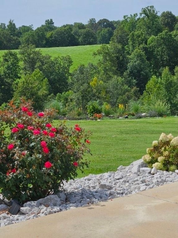 view of community featuring a lawn