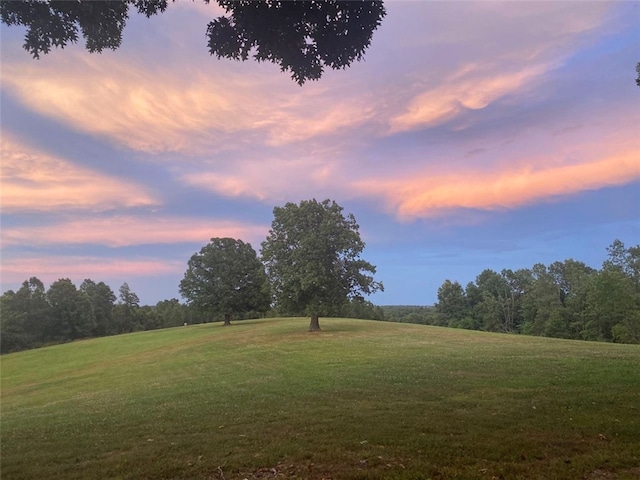 view of yard at dusk