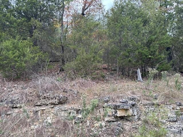 Beaver Dr, Holiday Island, AR 72631 - photo 2