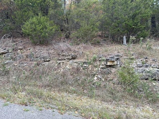 Beaver Dr, Holiday Island, AR 72631 - photo 3