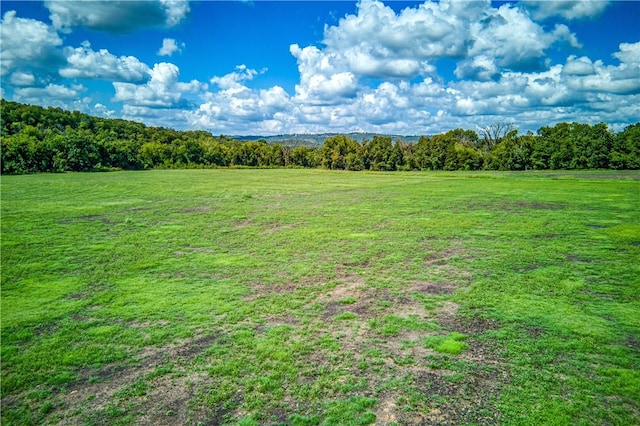 Mc 4052, Yellville, AR 72687 - photo 25