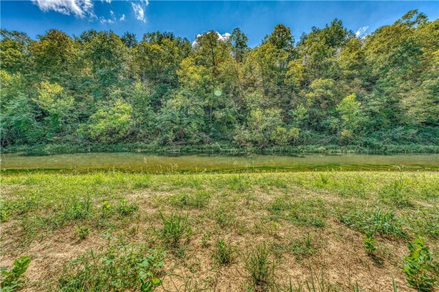 Mc 4052, Yellville, AR 72687 - photo 8