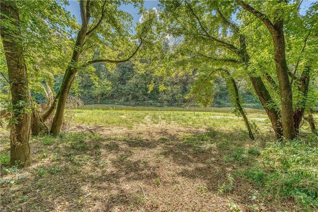 Mc 4052, Yellville, AR 72687 - photo 9