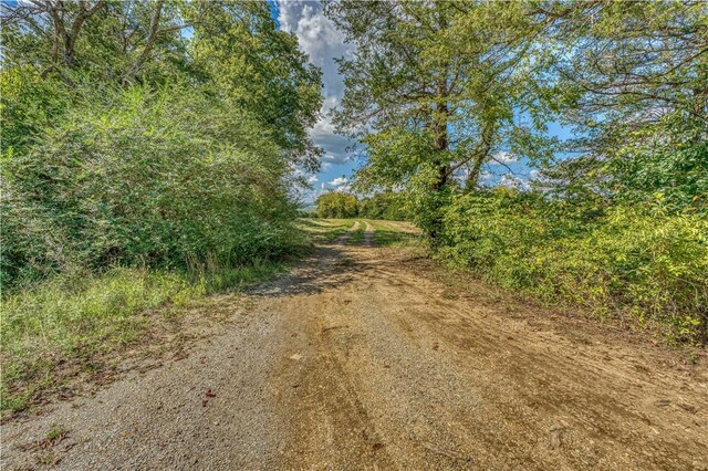 Mc 4052, Yellville, AR 72687 - photo 10
