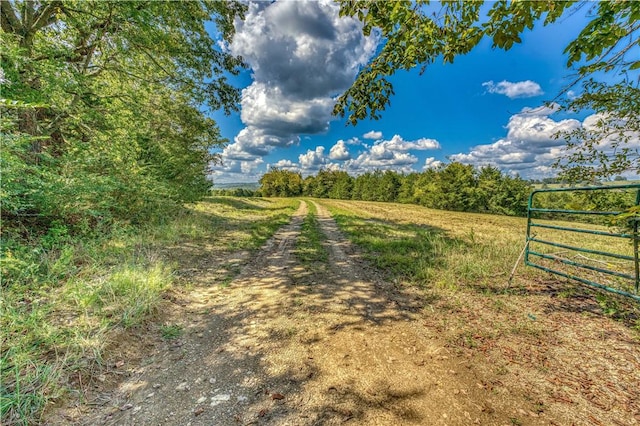 Mc 4052, Yellville, AR 72687 - photo 11