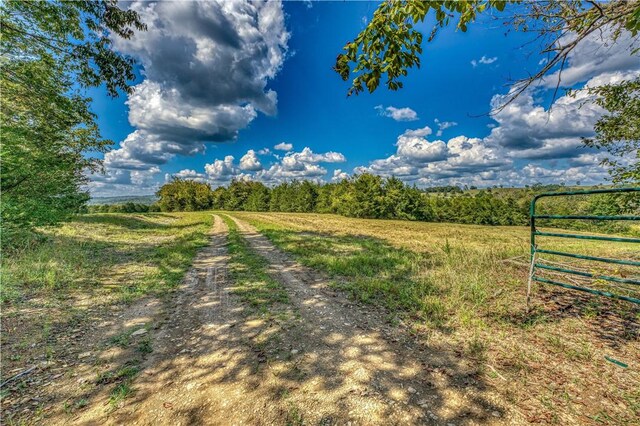 Mc 4052, Yellville, AR 72687 - photo 12