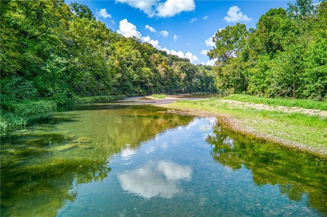 Mc 4052, Yellville, AR 72687 - photo 3