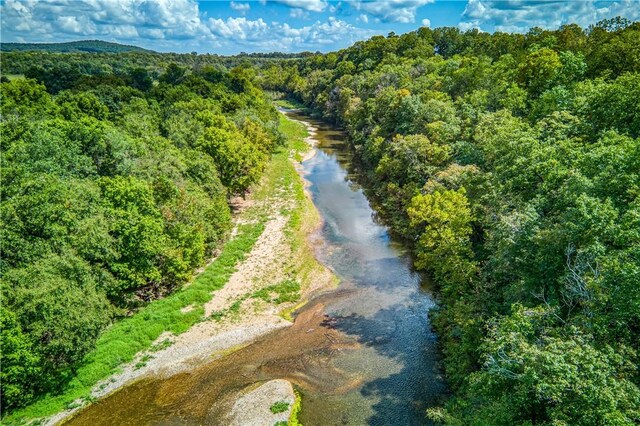 Mc 4052, Yellville, AR 72687 - photo 1