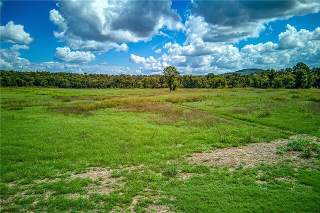 Mc 4052, Yellville, AR 72687 - photo 34