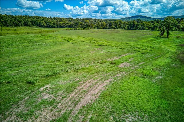 Mc 4052, Yellville, AR 72687 - photo 36