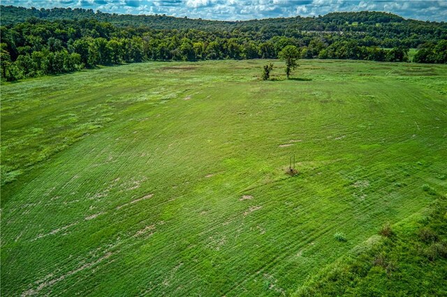 Mc 4052, Yellville, AR 72687 - photo 40