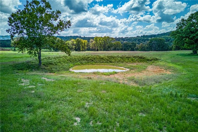 Mc 4052, Yellville, AR 72687 - photo 46