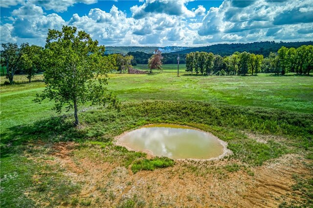 Mc 4052, Yellville, AR 72687 - photo 47