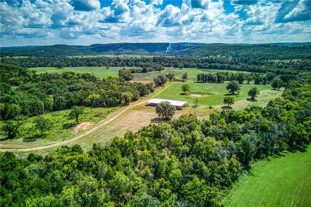 Mc 4052, Yellville, AR 72687 - photo 52