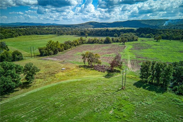 Mc 4052, Yellville, AR 72687 - photo 30