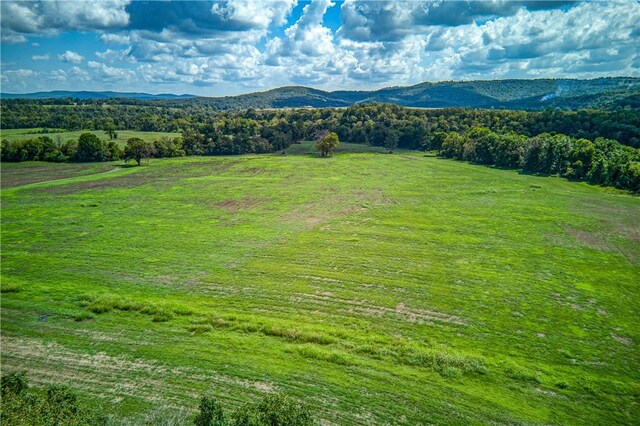 Mc 4052, Yellville, AR 72687 - photo 31