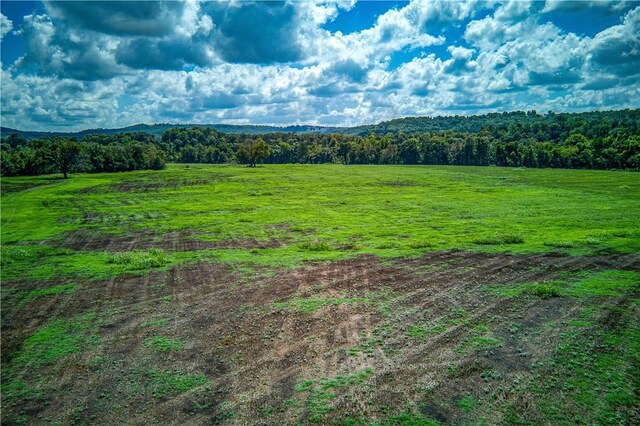 Mc 4052, Yellville, AR 72687 - photo 33