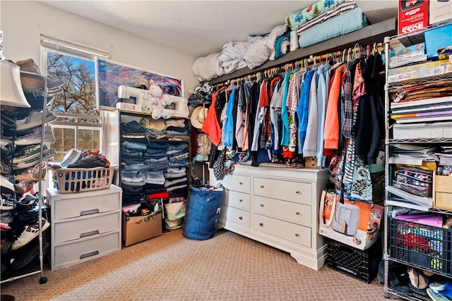 spacious closet with light colored carpet