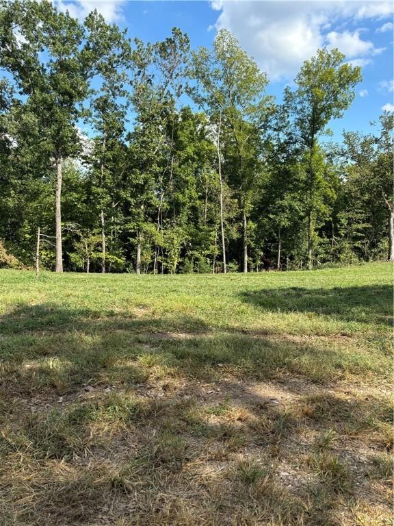 300 Skyline Dr, Sulphur Springs, AR 72768 - view of tree filled area