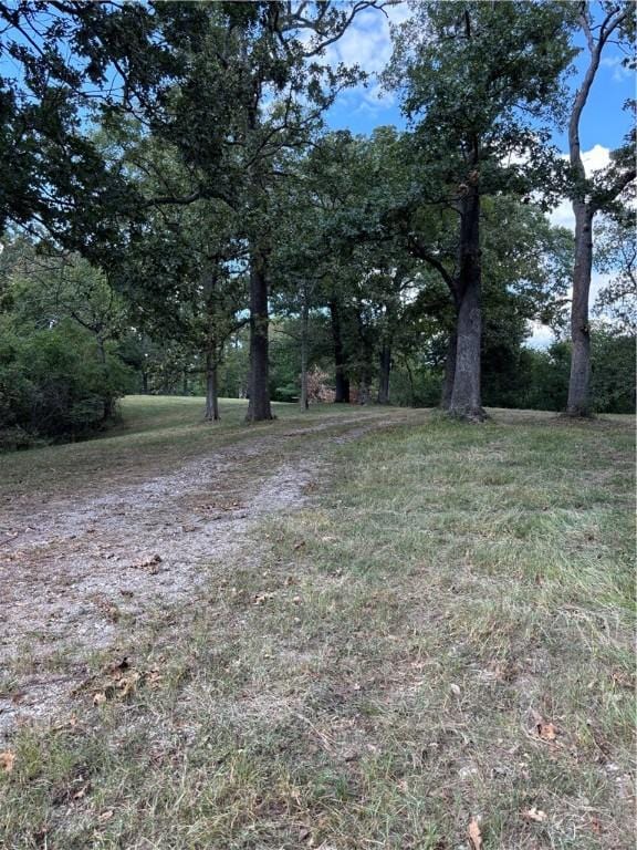300 Skyline Dr, Sulphur Springs, AR 72768 - view of yard