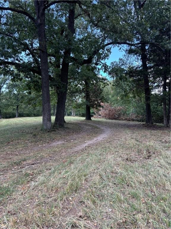 300 Skyline Dr, Sulphur Springs, AR 72768 - view of yard