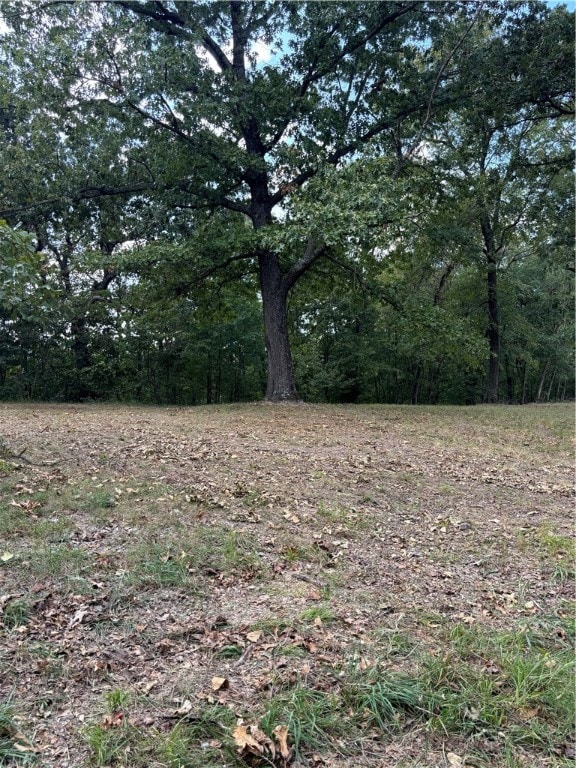 view of local wilderness