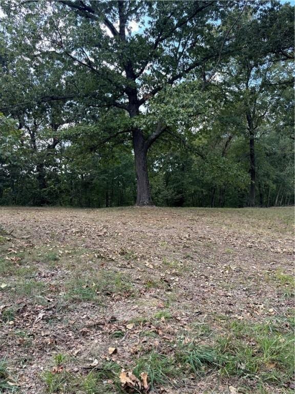 300 Skyline Dr, Sulphur Springs, AR 72768 - view of nature