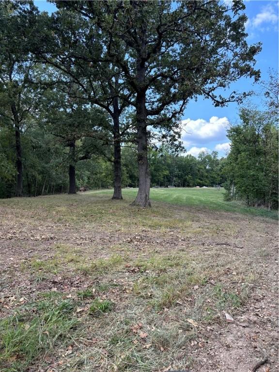 300 Skyline Dr, Sulphur Springs, AR 72768 - view of yard