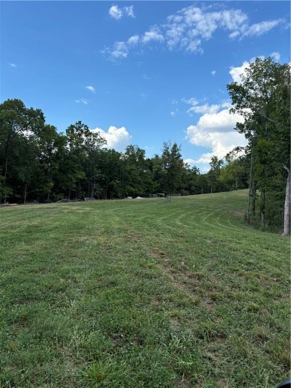 300 Skyline Dr, Sulphur Springs, AR 72768 - view of green lawn with a forest view