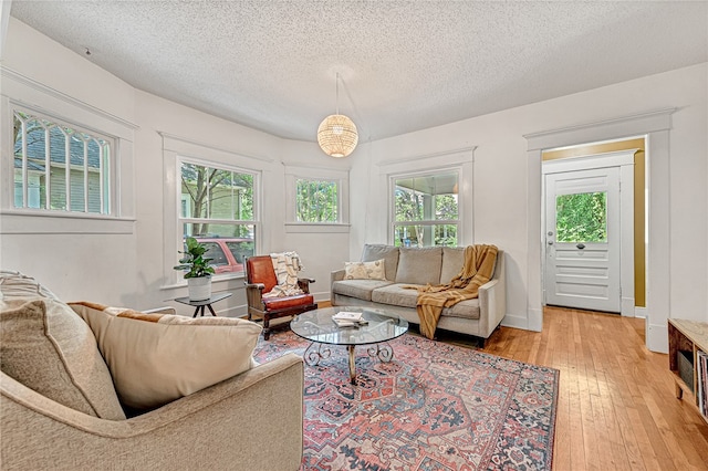 living room with a textured ceiling and hardwood / wood-style flooring