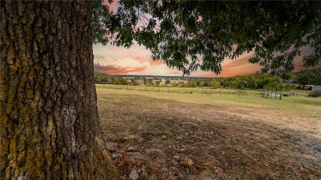 nature at dusk with a rural view