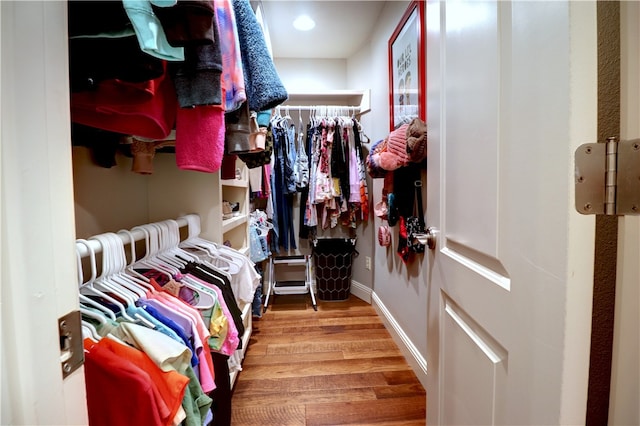 walk in closet with hardwood / wood-style floors