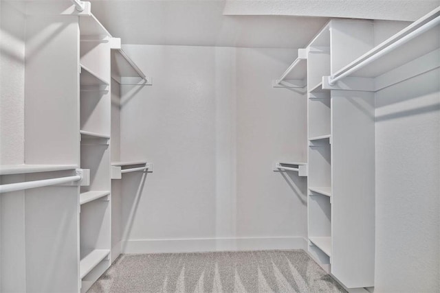 walk in closet with light colored carpet