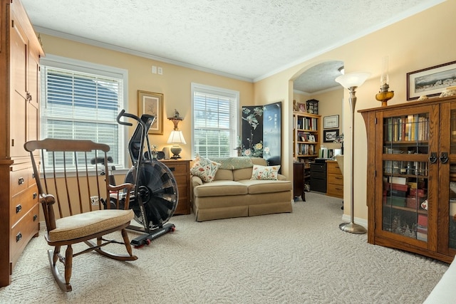 carpeted living room featuring a textured ceiling and crown molding