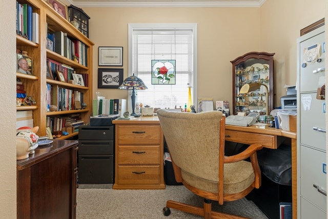 carpeted home office with ornamental molding