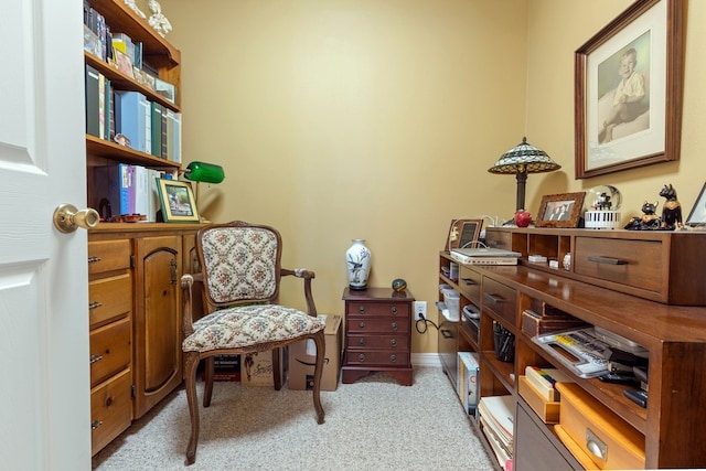 home office with light carpet