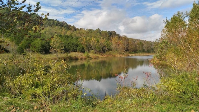 property view of water