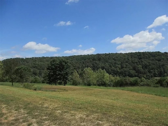 view of local wilderness