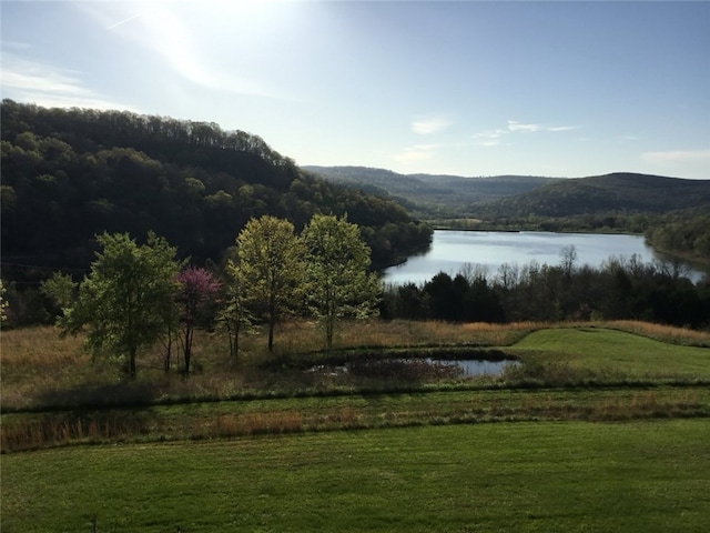 water view featuring a mountain view